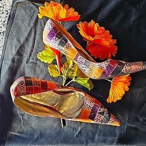 Pointed Toe Muliti Color Shoe